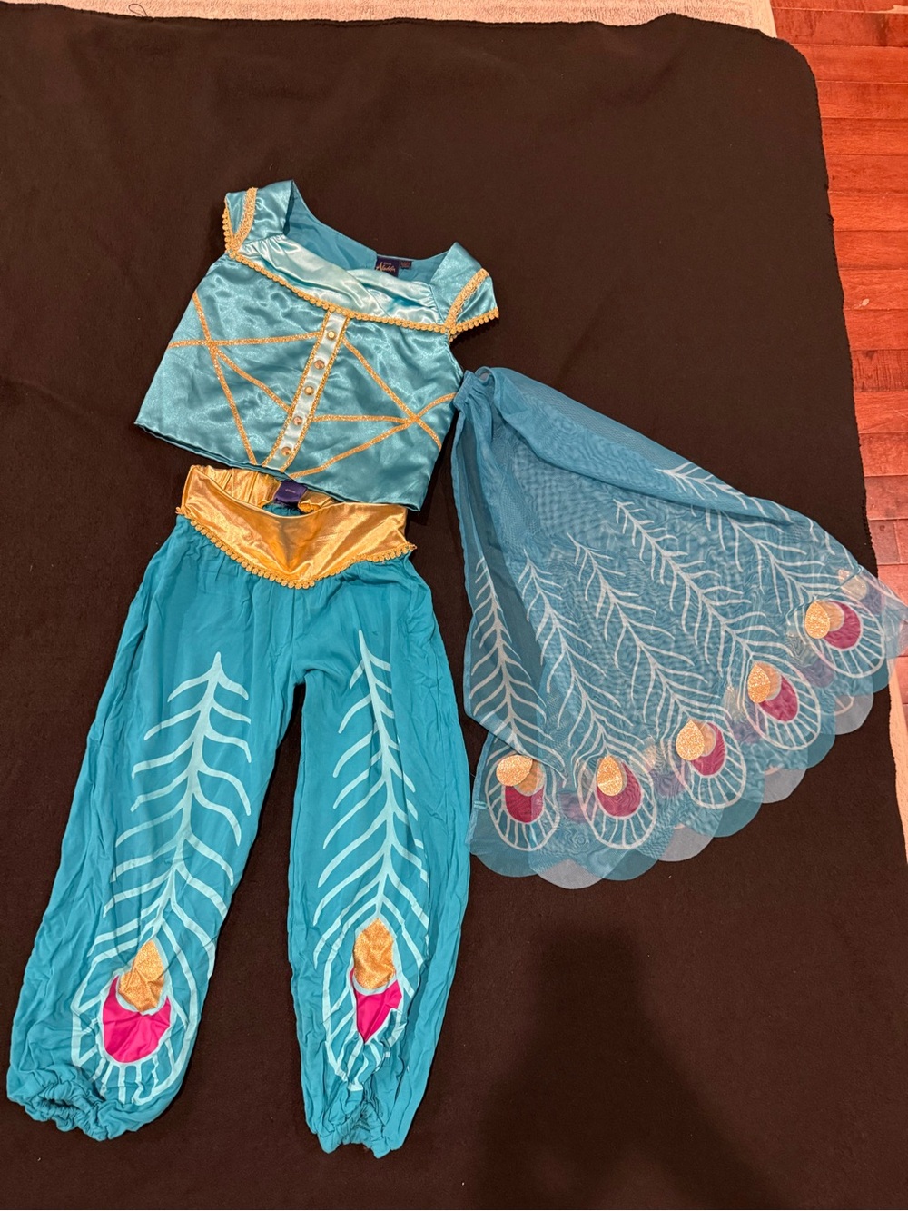 Disney Princess Jasmine Teal and Gold Peacock-Inspired Princess Costume